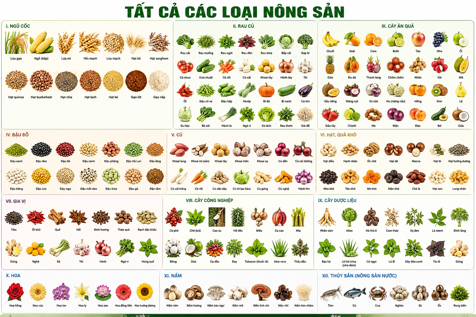 Bảng giá nông sản ngày 16/06/2026