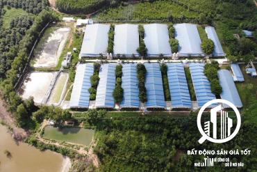 trang trại chăn nuôi heo 20ha tỷ suất lợi nhuận 16,62%/năm  Lâm Đồng