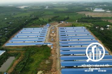 trang trại chăn nuôi heo 12ha đang cho thuê 600tr/tháng Bình Thuận