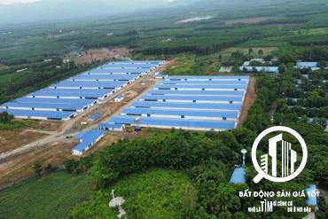 chuyển nhượng trang trại chăn nuôi gà 35 tỷ đang cho thuê 400tr/tháng Đồng Nai