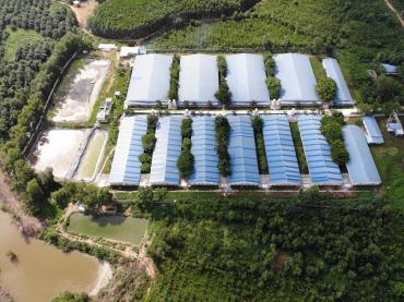 trang trại chăn nuôi heo 20ha tỷ suất lợi nhuận 16,62%/năm  Lâm Đồng