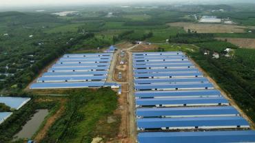 trang trại chăn nuôi heo 12ha đang cho thuê 600tr/tháng Bình Thuận