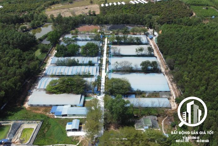 Chuyển nhượng trang trại chăn nuôi heo 14,5ha đang cho thuê 610tr/tháng Xuân Lộc Đồng Nai
