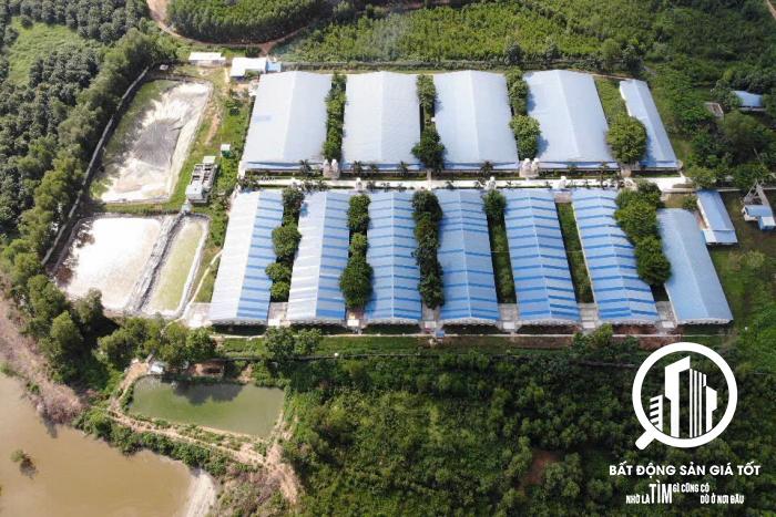 trang trại chăn nuôi heo 20ha tỷ suất lợi nhuận 16,62%/năm  Lâm Đồng