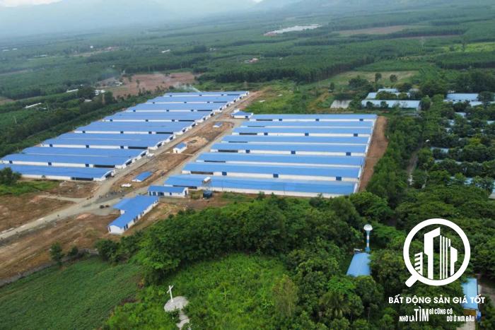 chuyển nhượng trang trại chăn nuôi gà 35 tỷ đang cho thuê 400tr/tháng Đồng Nai