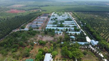Trang trại chăn nuôi heo 12ha đang cho thuê 650tr/tháng Lộc Ninh Bình Phước