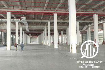 Cho thuê kho xưởng 5400m2 KCN Xuyên Á Đức Hòa - Long An