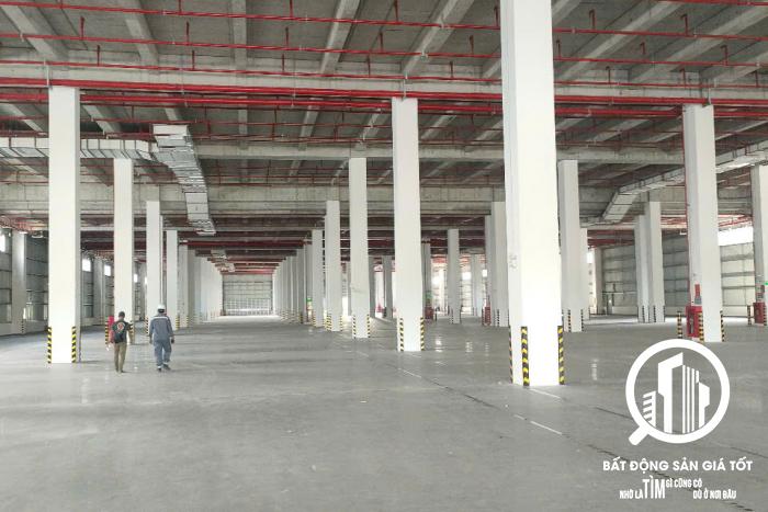 Cho thuê nhà xưởng mới 5500m2 KCN Thuận Đạo - Long An
