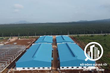 Cho thuê nhà xưởng 14000m2 KCN Dầu Giây Đồng Nai - Xưởng mới 100%